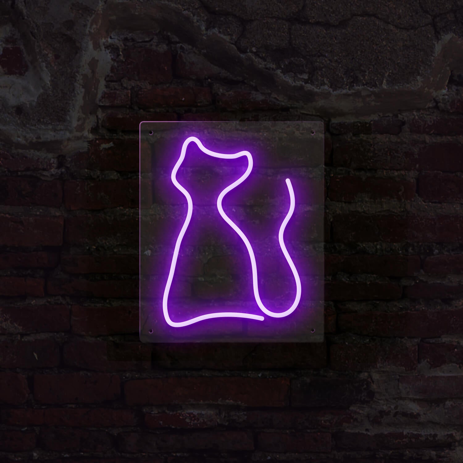 Cat neon sign